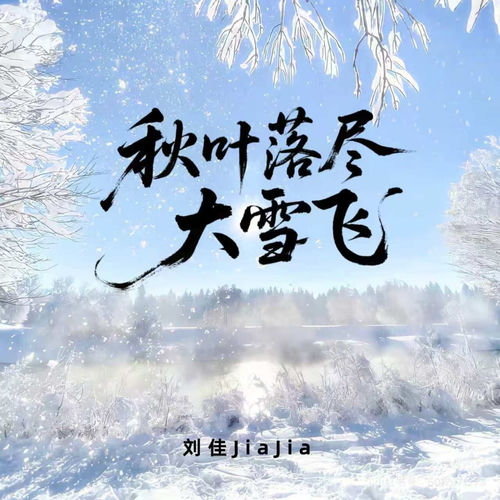 秋叶落尽大雪飞（语录版）