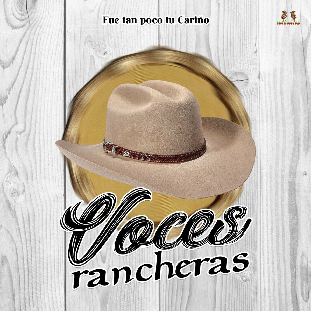 Album cover of Fue Tan Poco Tu Cariño
