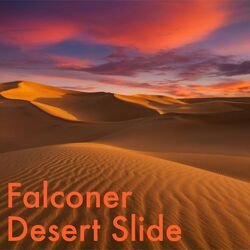 Cover of Desert Slide
