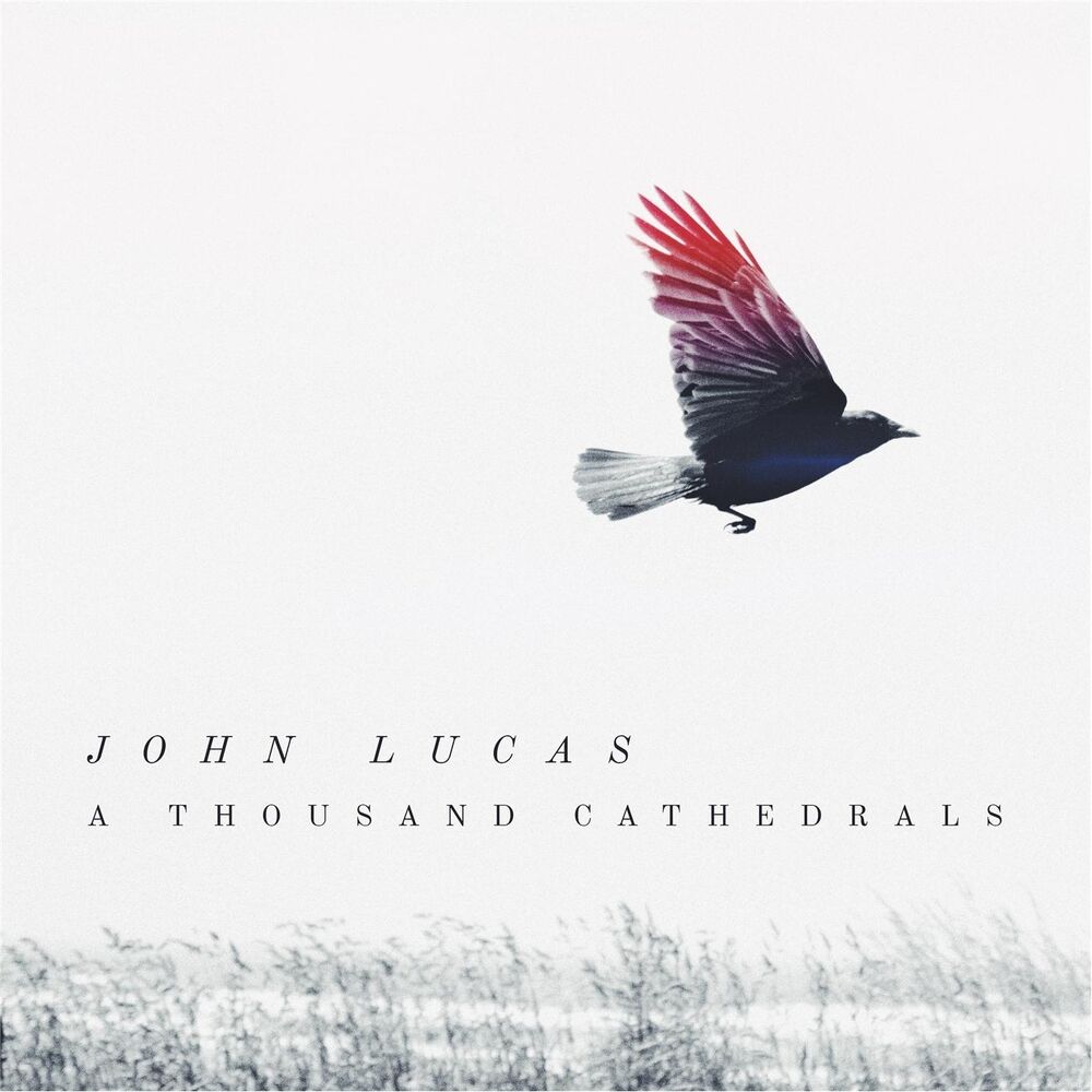 Picture of A Thousand Cathedrals