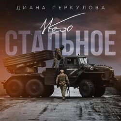 Cover of Небо стальное
