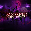 Scorpio Rising