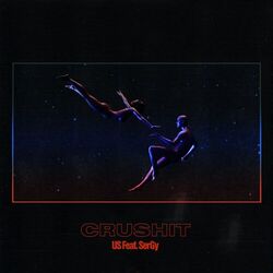 Cover of Crushit