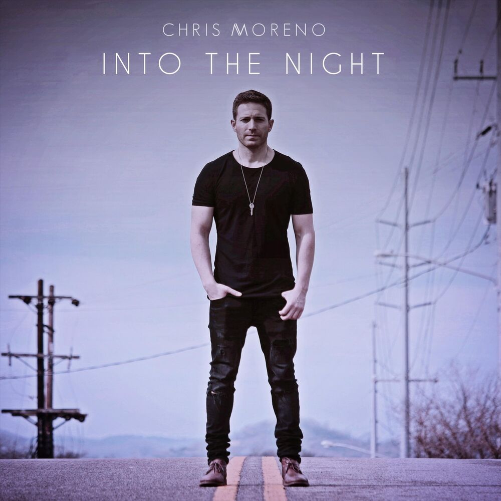 Picture of Into the Night