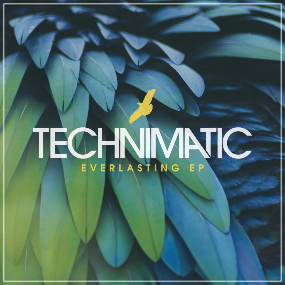 Album cover of Everlasting