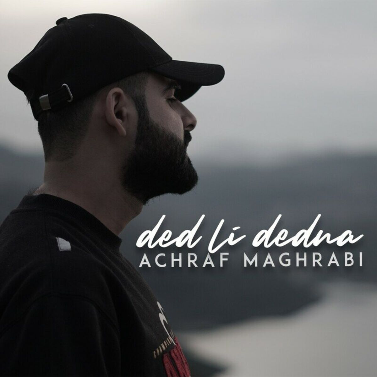 Album cover of Ded Li Dedna