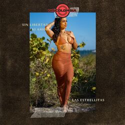 Cover of Sin Libertad ni Amor
