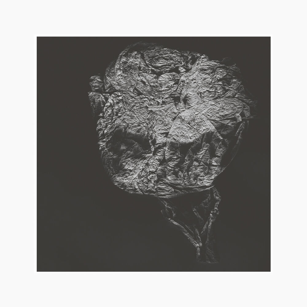 Picture of Entities Inertias Faint Beings