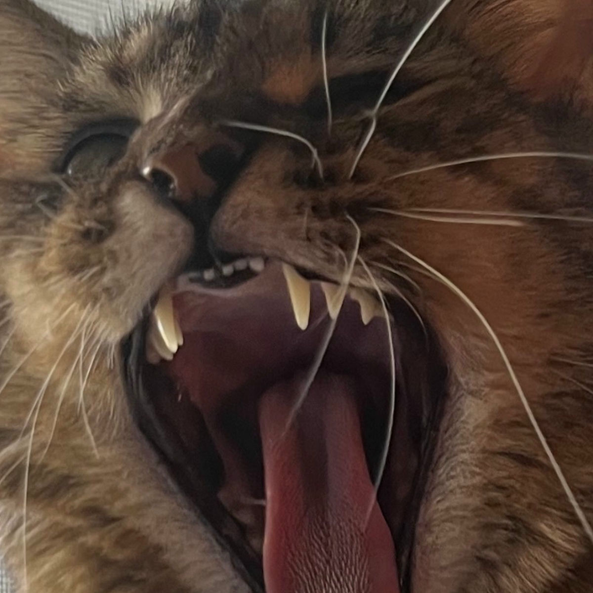 Album cover of Labyrinth