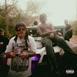 Cover of MEGAN (feat. Mike Dimes)