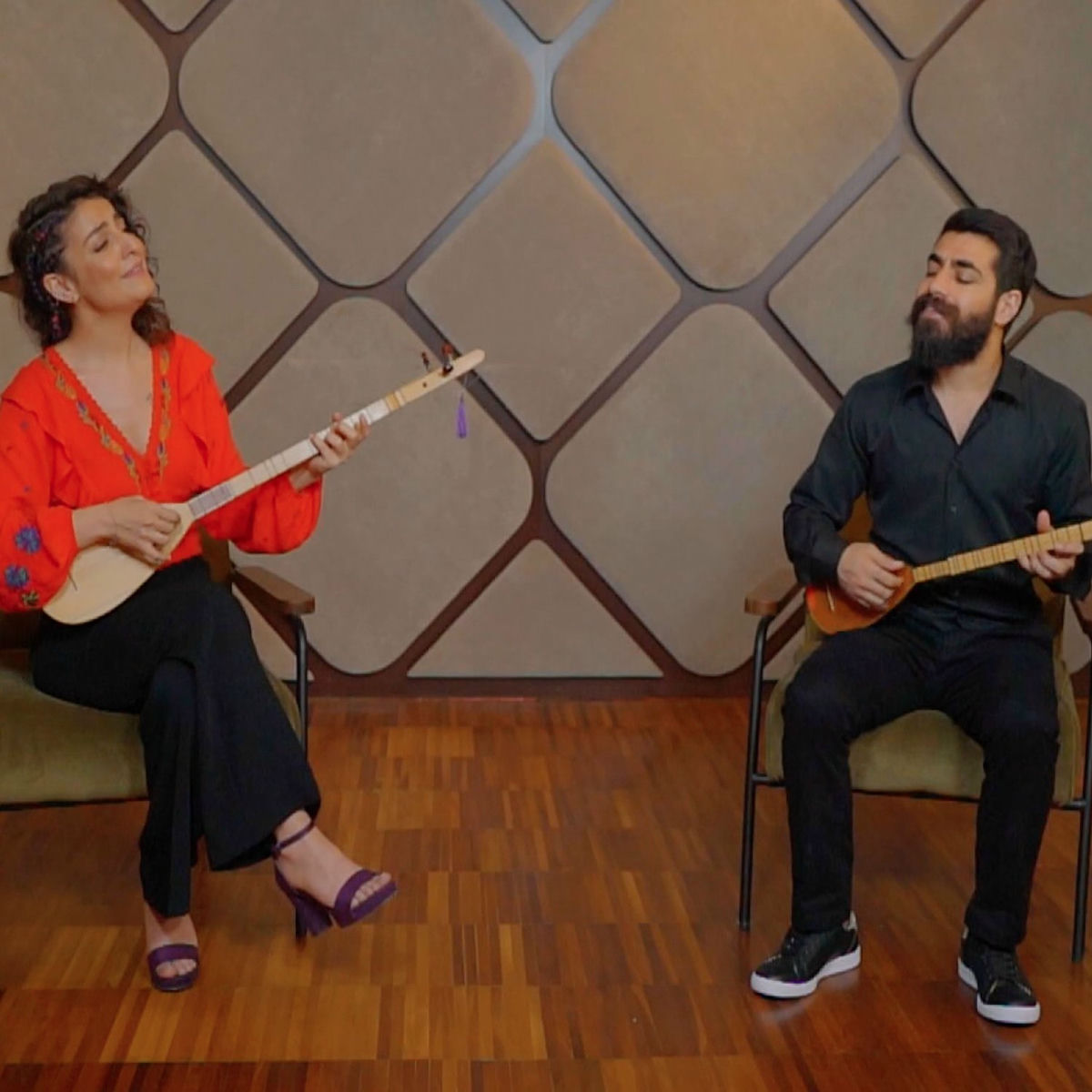 Album cover of Şu Tepe Pullu Tepe / Erzurum Dağları