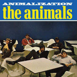 Cover of Animalization