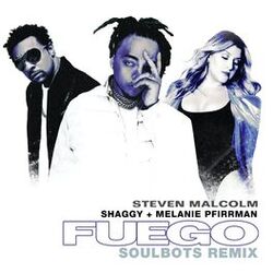 Cover of Fuego (The SoulBots Remix)