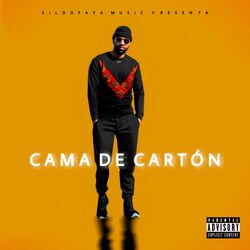 Cover of Cama de Cartón