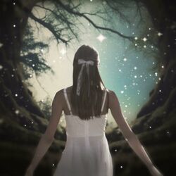 Cover of Neverland