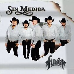Cover of Sin Medida