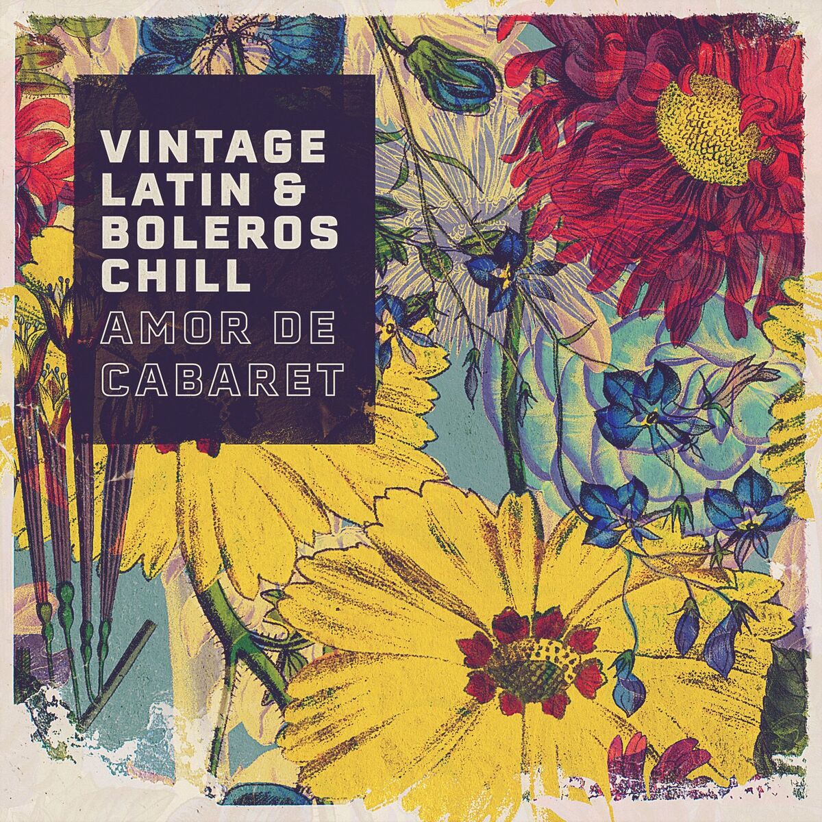 Album cover of Amor de Cabaret
