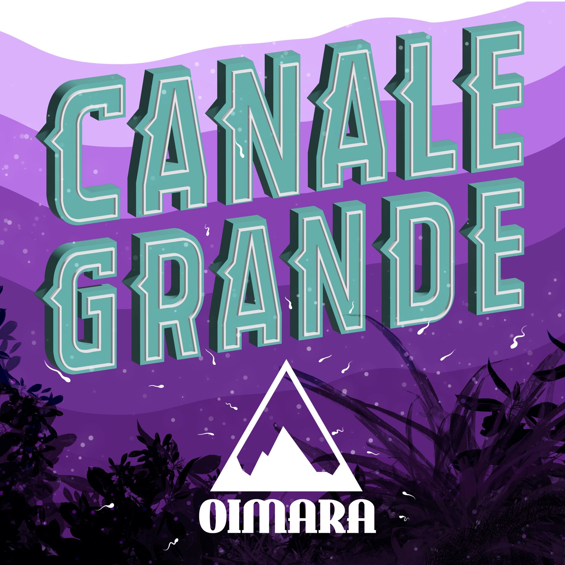 Album cover of Canale Grande