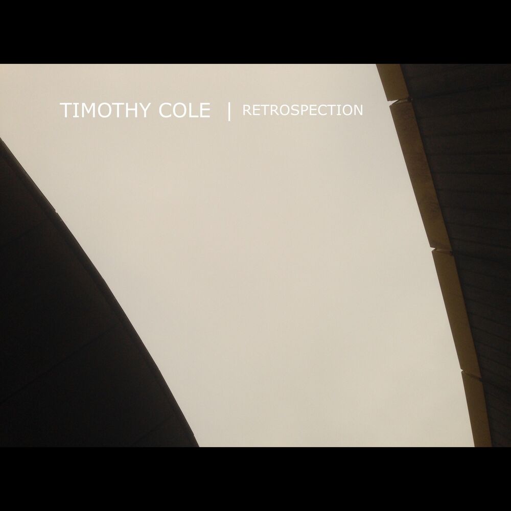 Picture of Retrospection