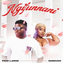 Cover of Ngifunani