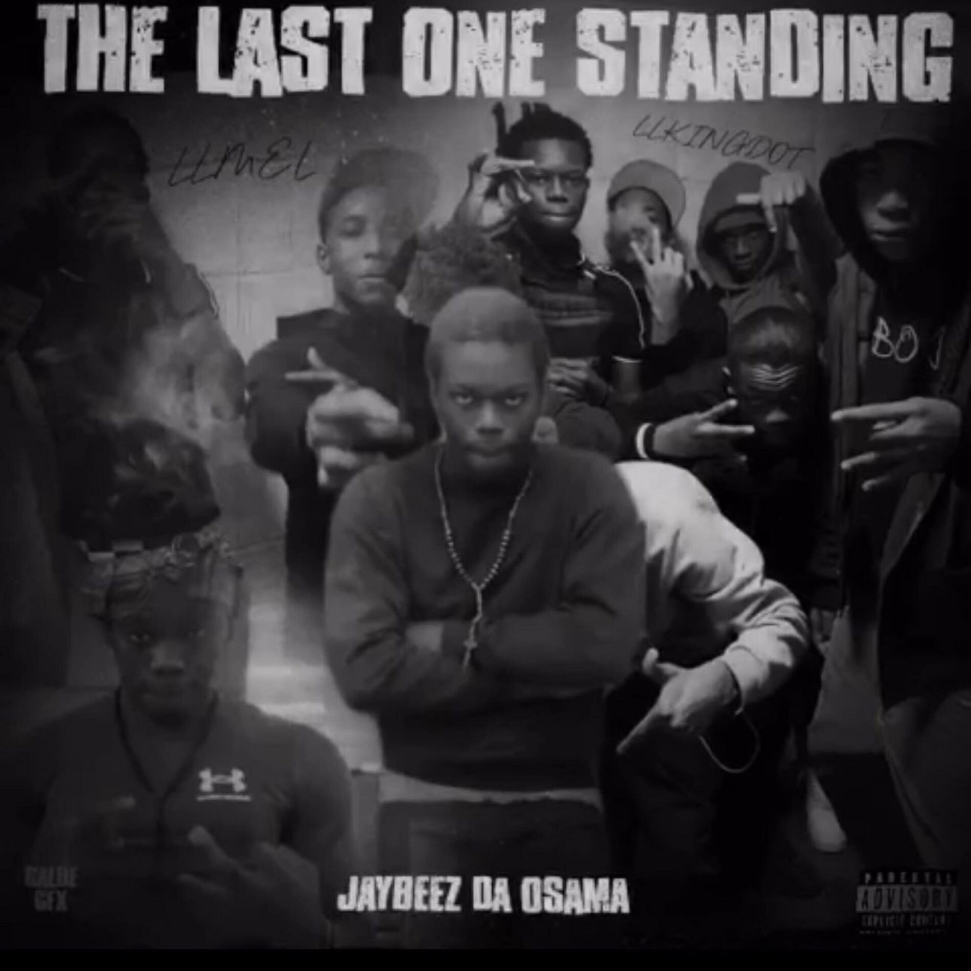 Album cover of The Last One Standing