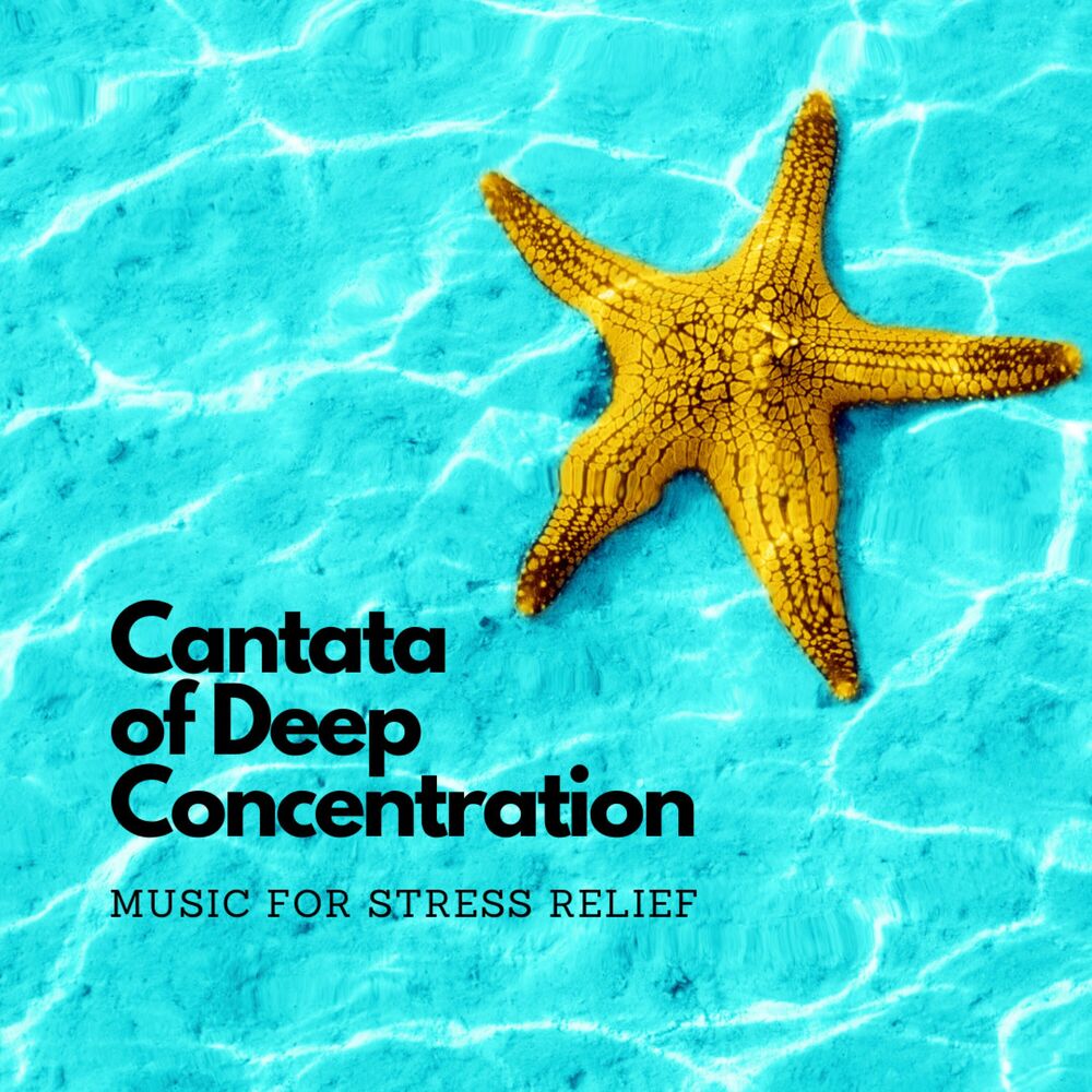Picture of Cantata of Deep Concentration: Music for Stress Relief