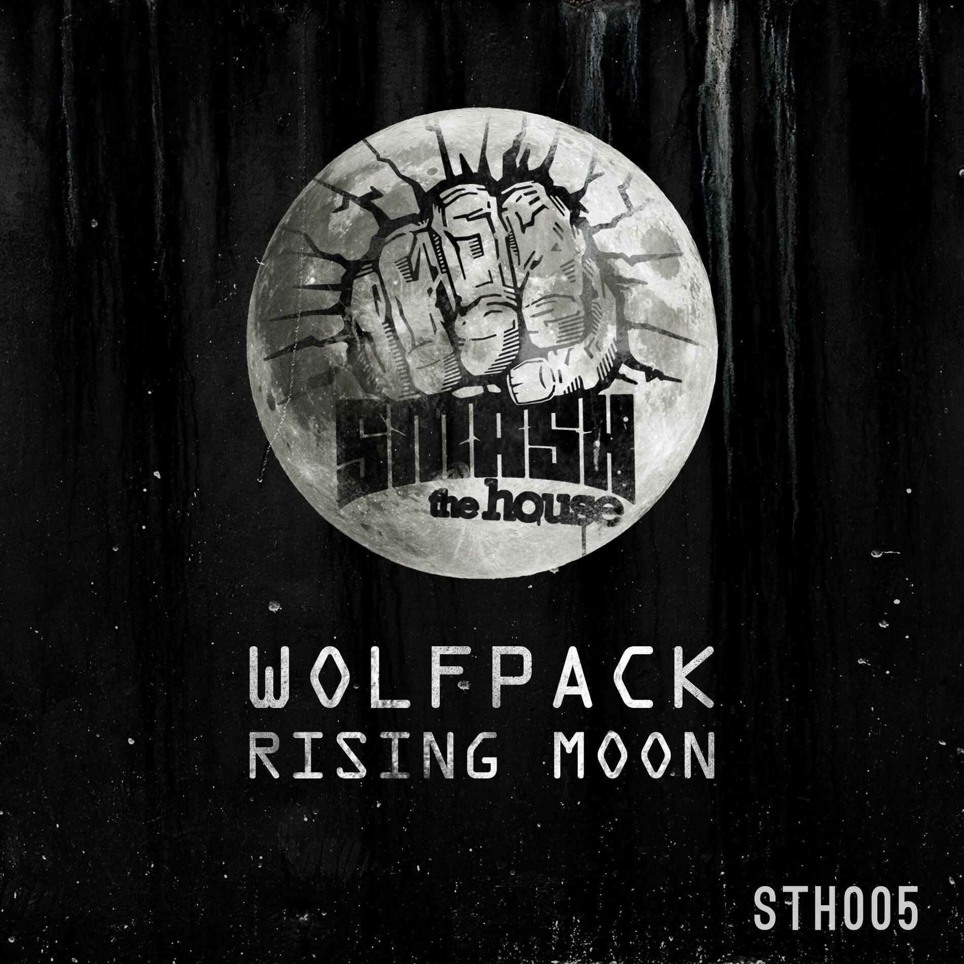 Album cover of Rising Moon