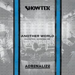 Cover of Another World