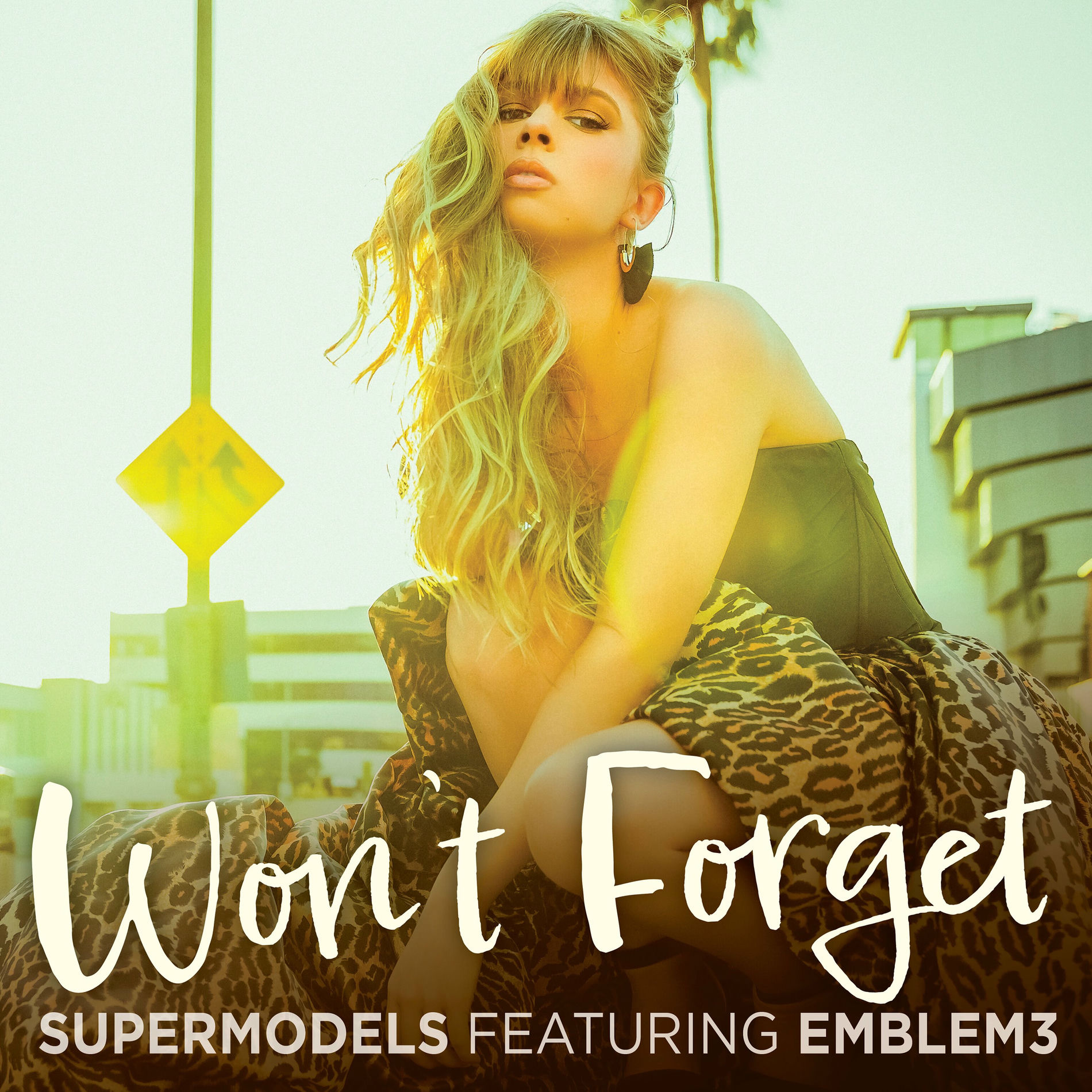 Album cover of Won't Forget