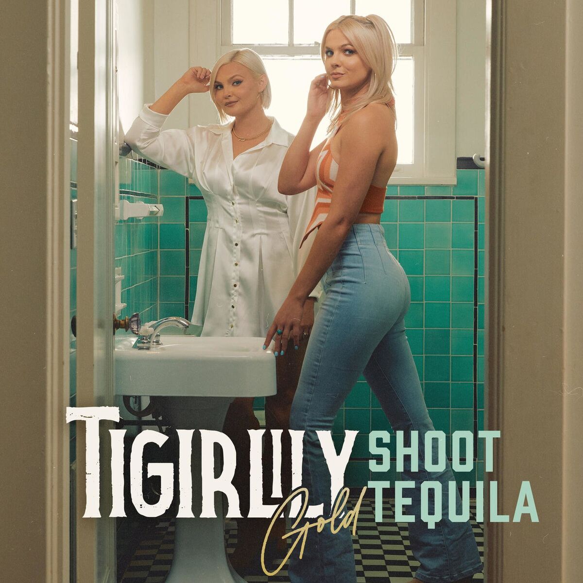 Album cover of Shoot Tequila