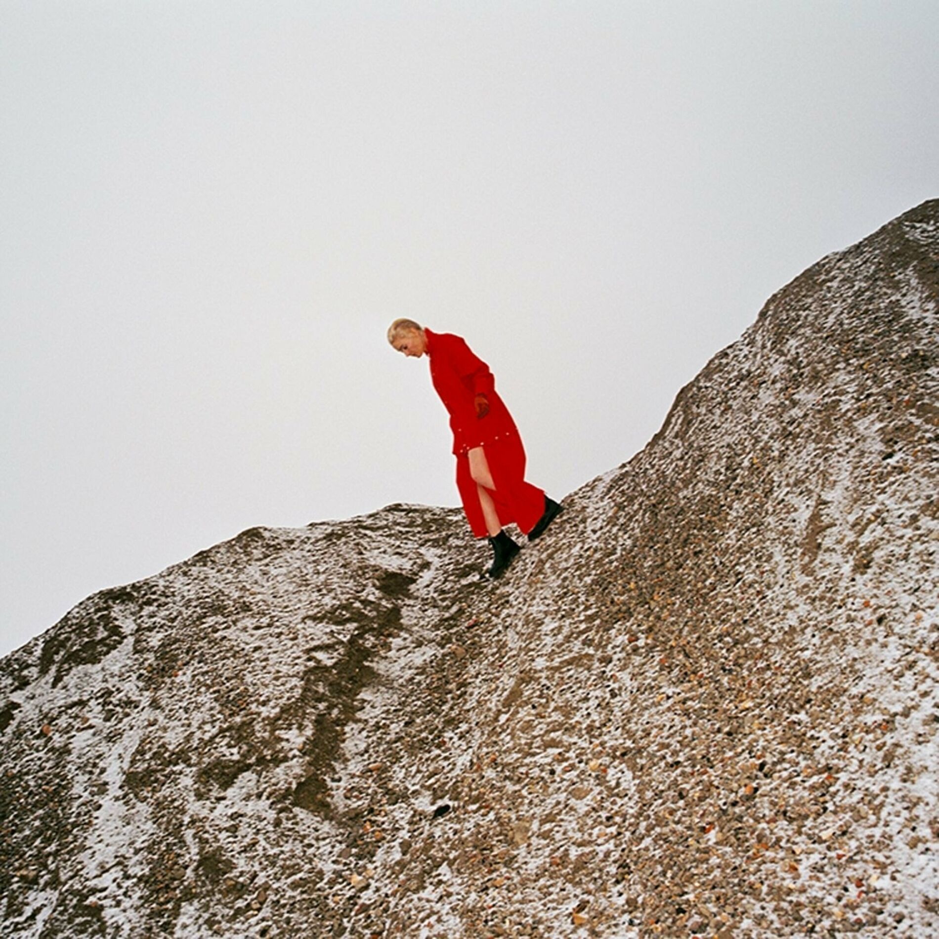 Album cover of Reward