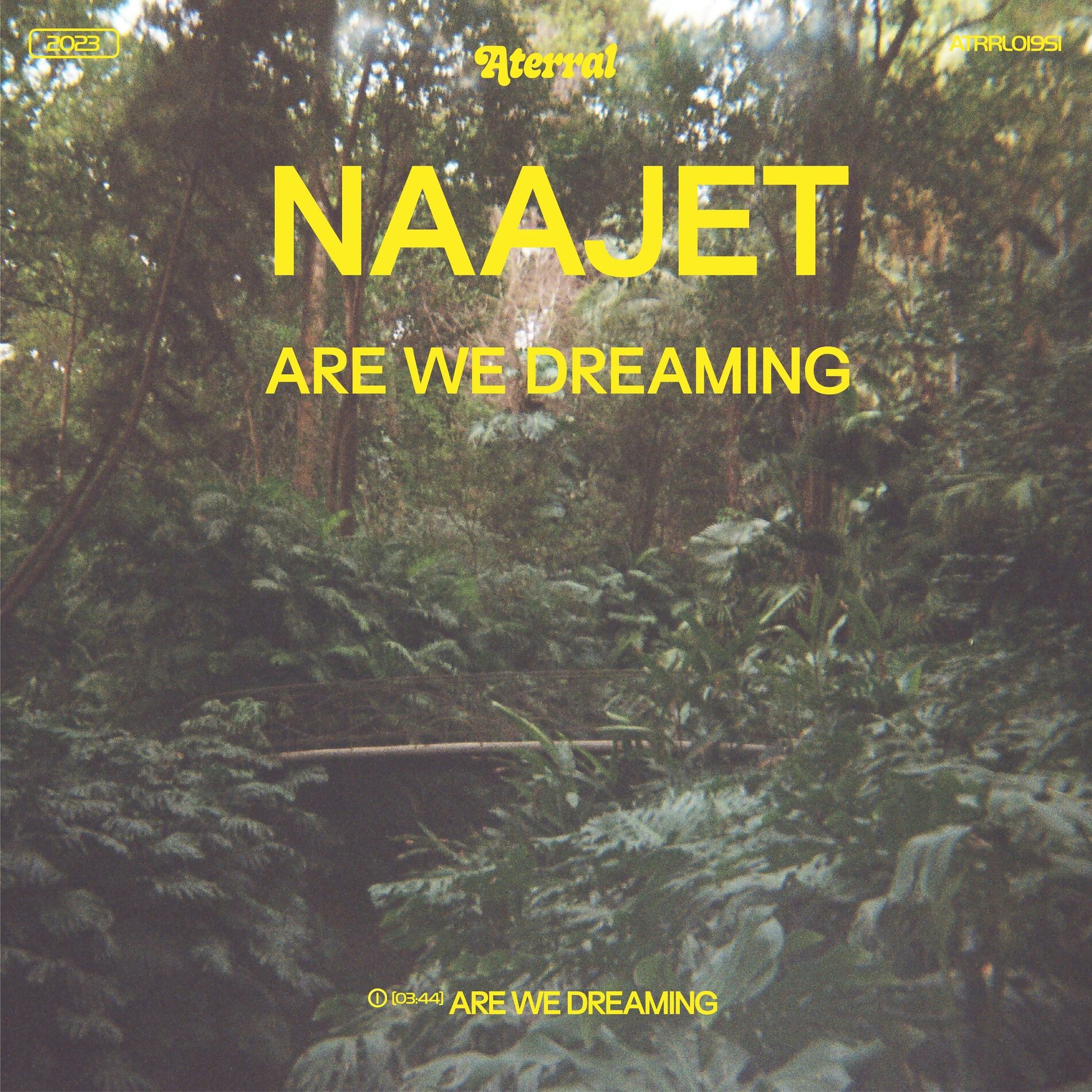 Album cover of Are We Dreaming