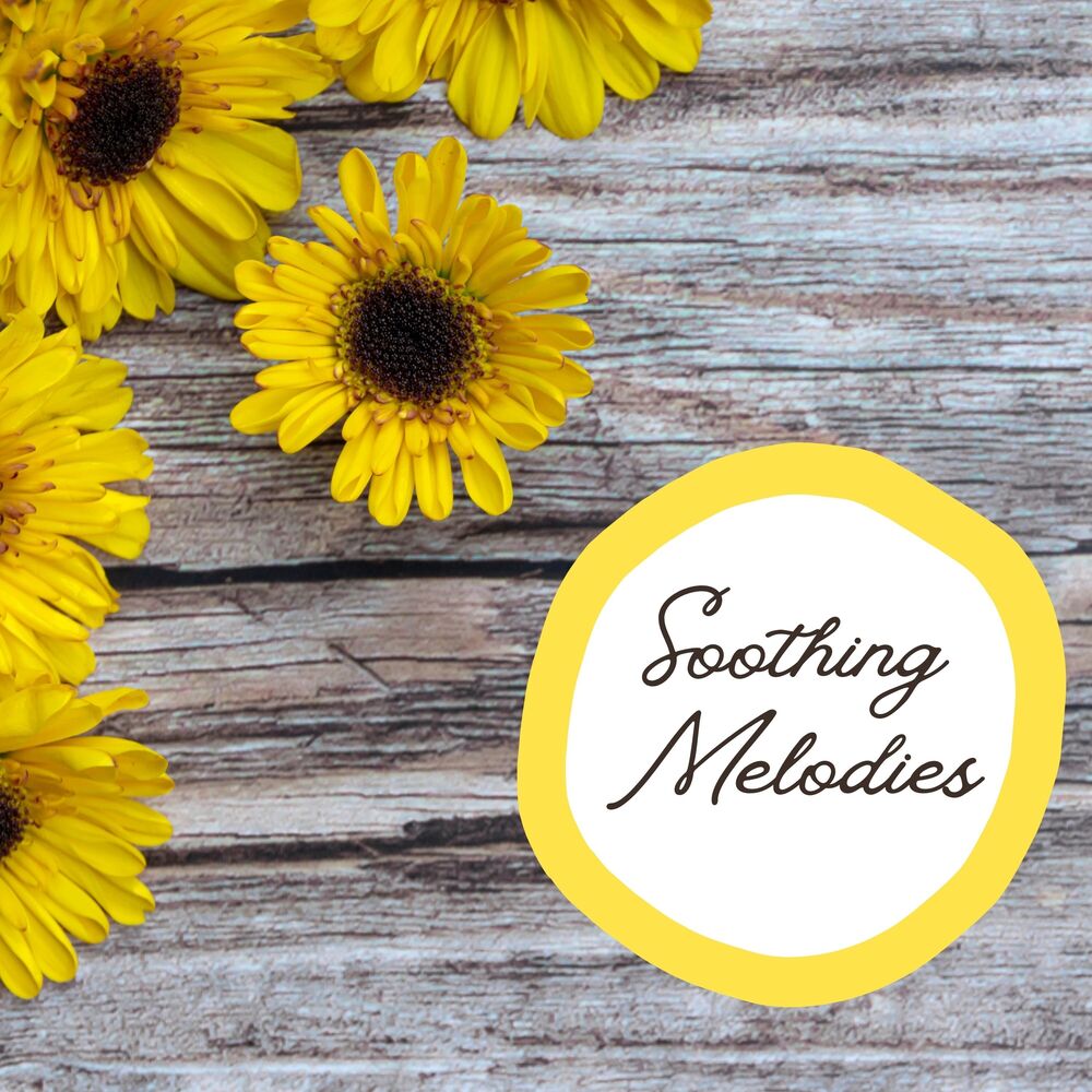 Picture of Soothing Melodies: Calming Instrumentals for Relaxation & Tranquility