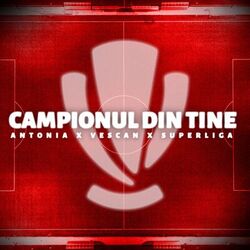 Cover of Campionul din Tine