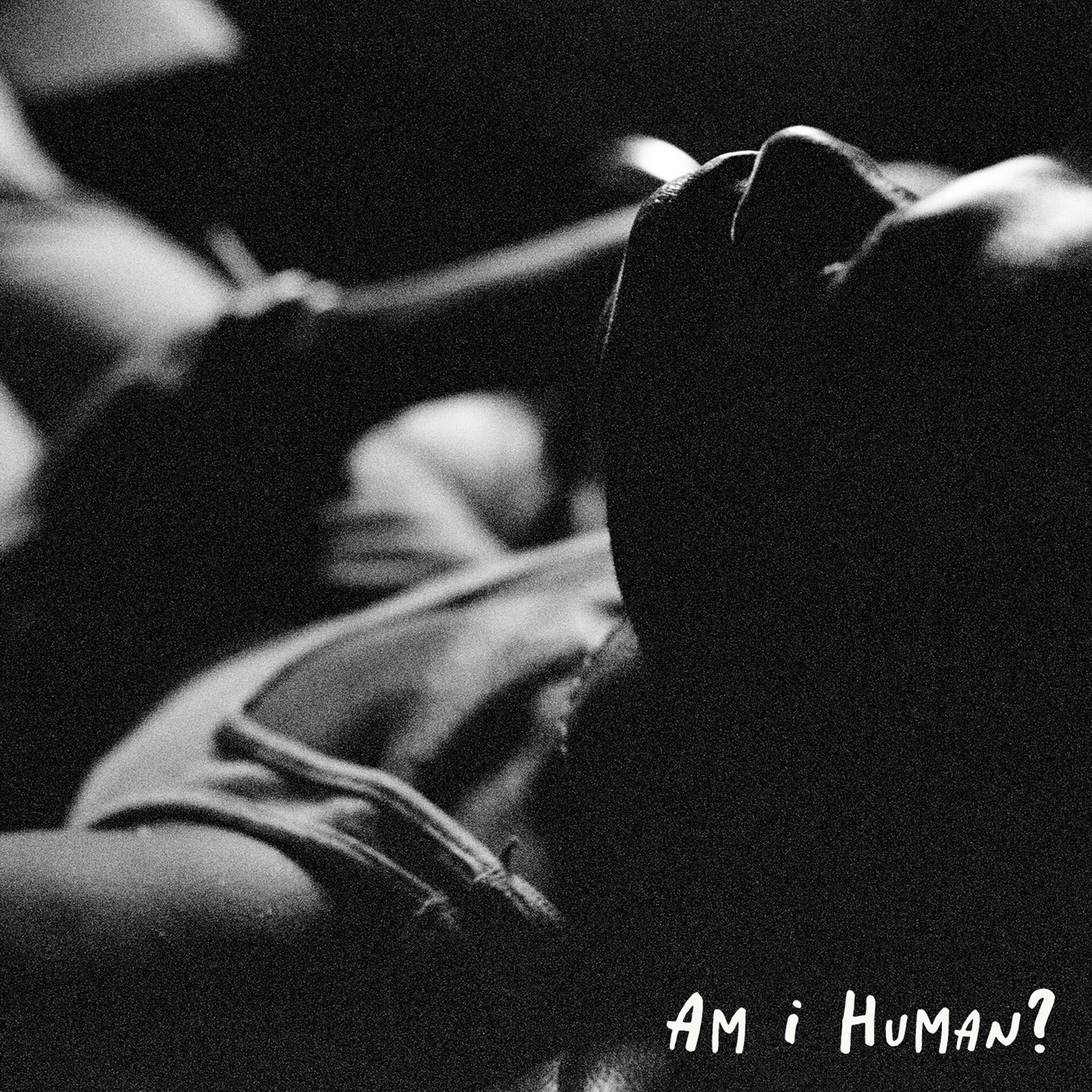 Album cover of Am I Human?
