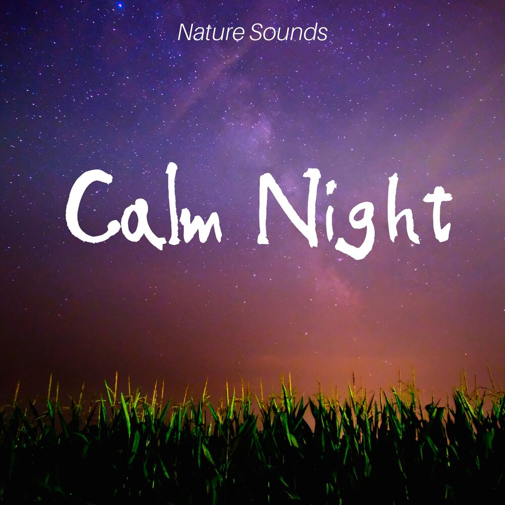 Picture of Calm Night: Nature Sounds, Lucid Dream, Inner Silence, Ambient Serenity, Long Dream, Total Rest