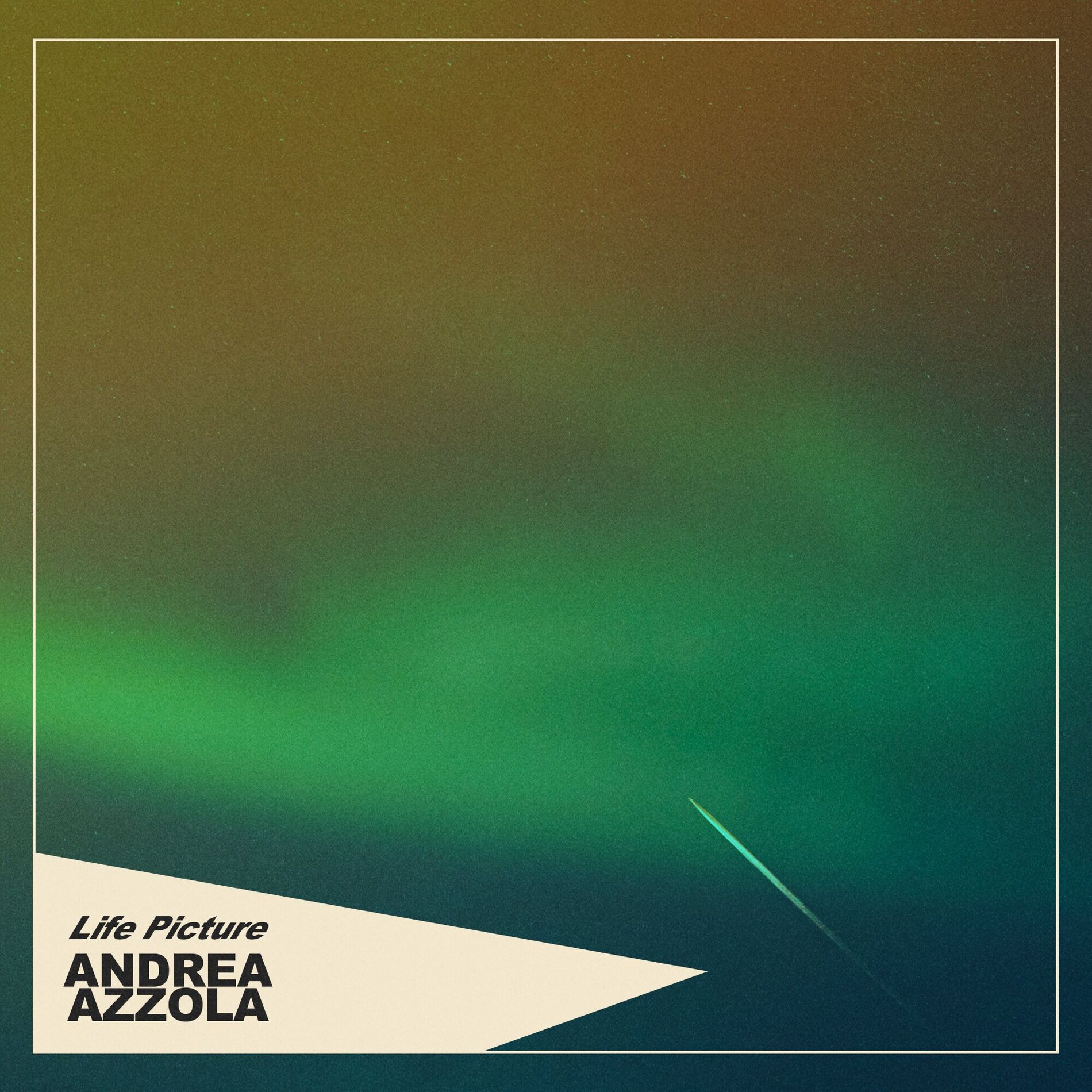 Album cover of Life Picture