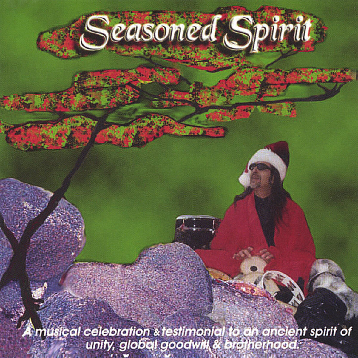 Album cover of Seasoned Spirit