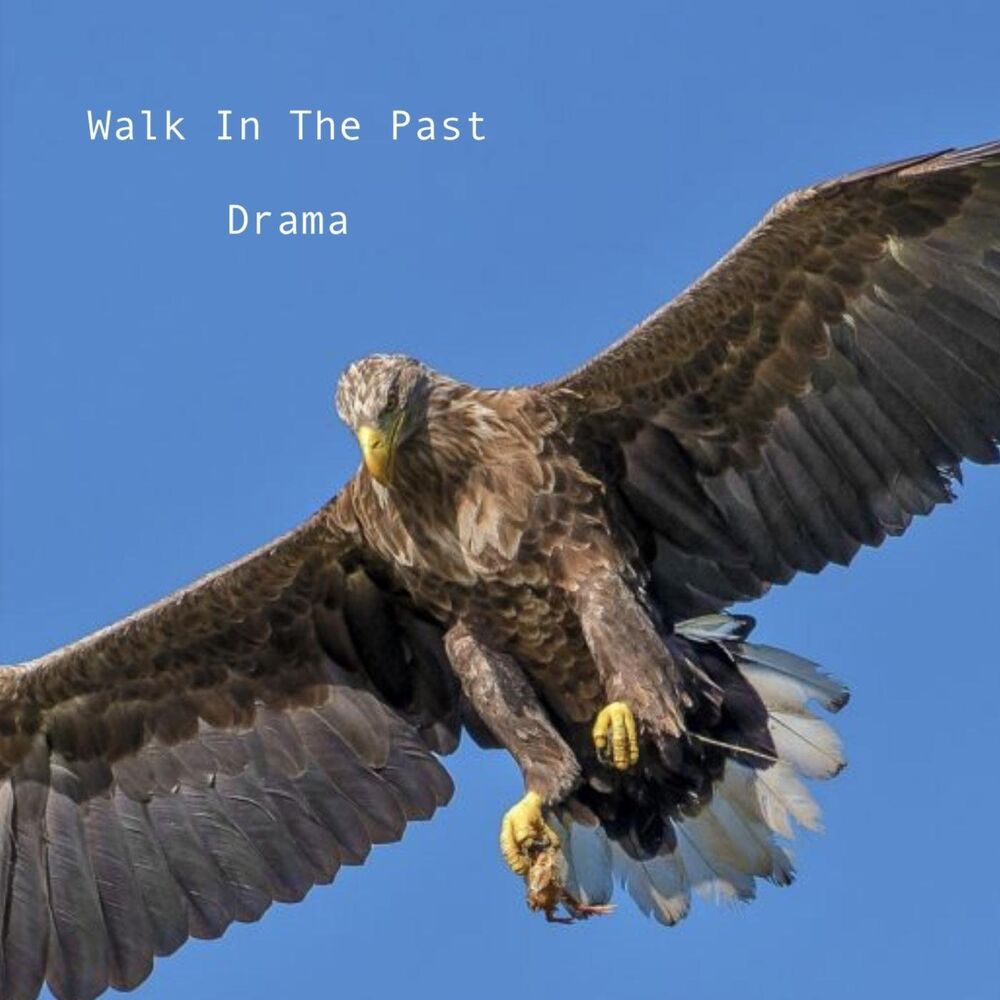 Picture of Walk in the Past