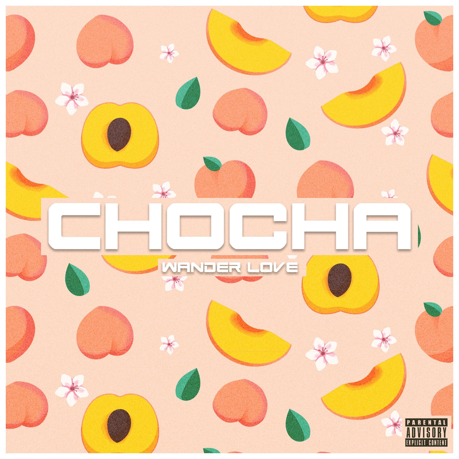 Album cover of Chocha