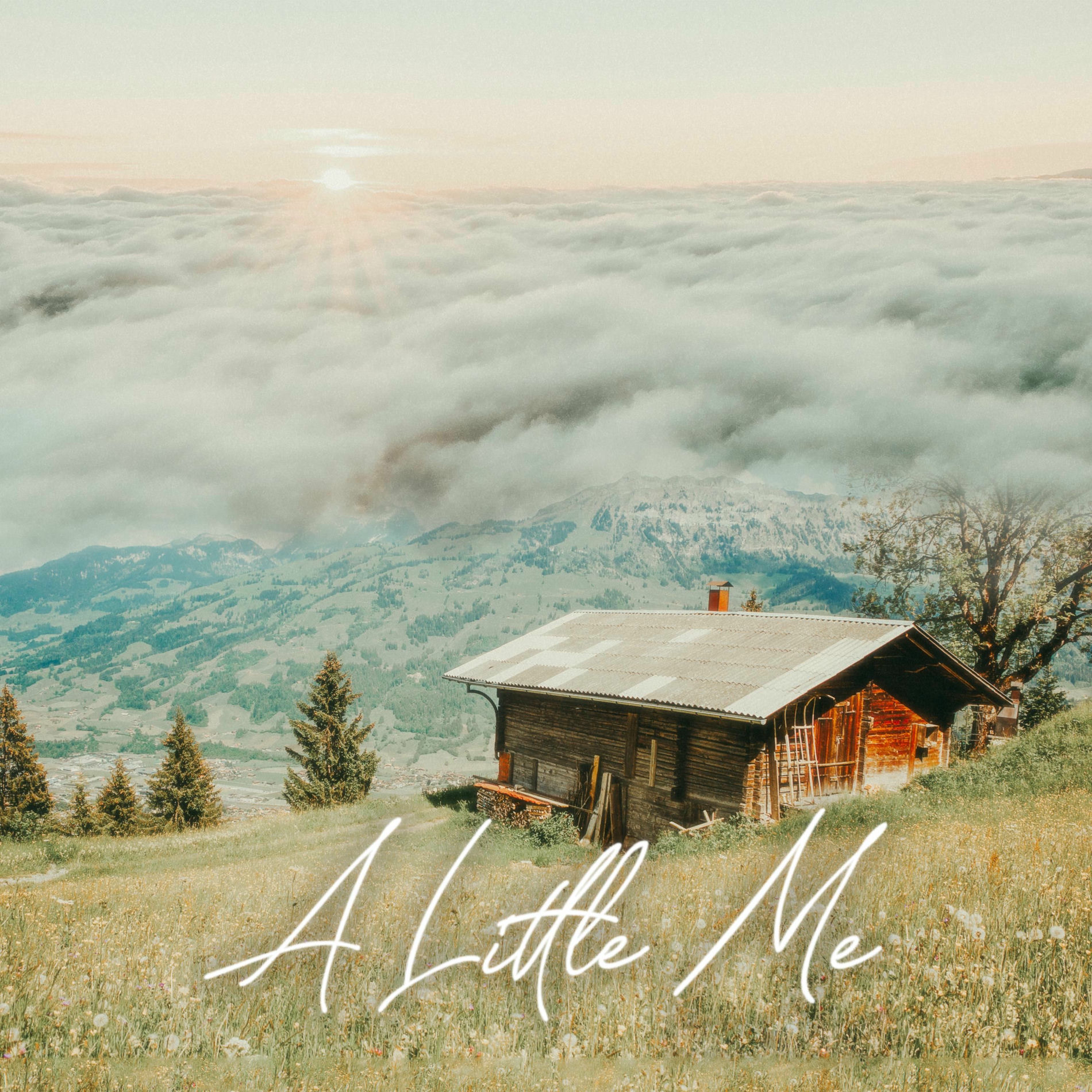 Album cover of A Little Me
