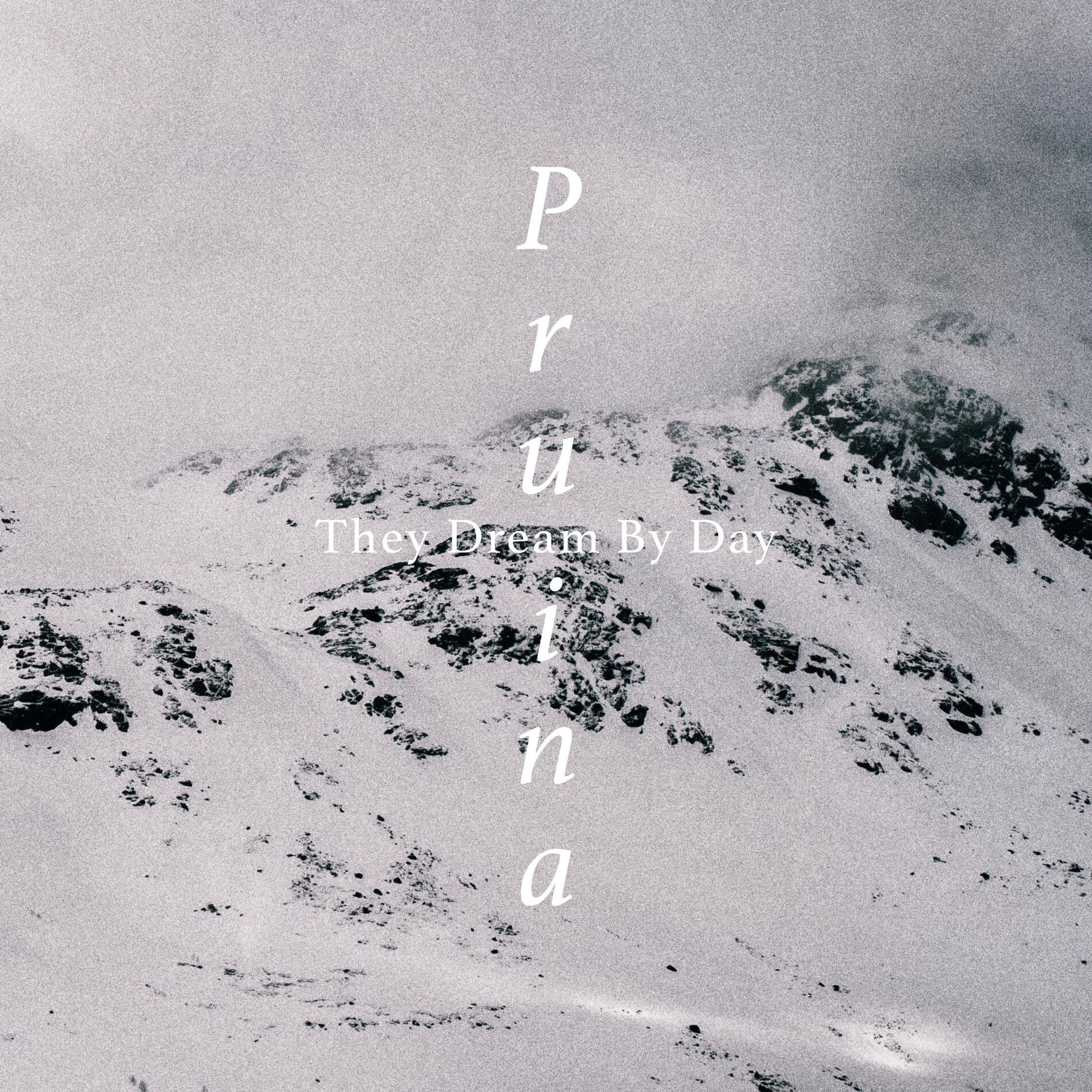 Album cover of Pruina