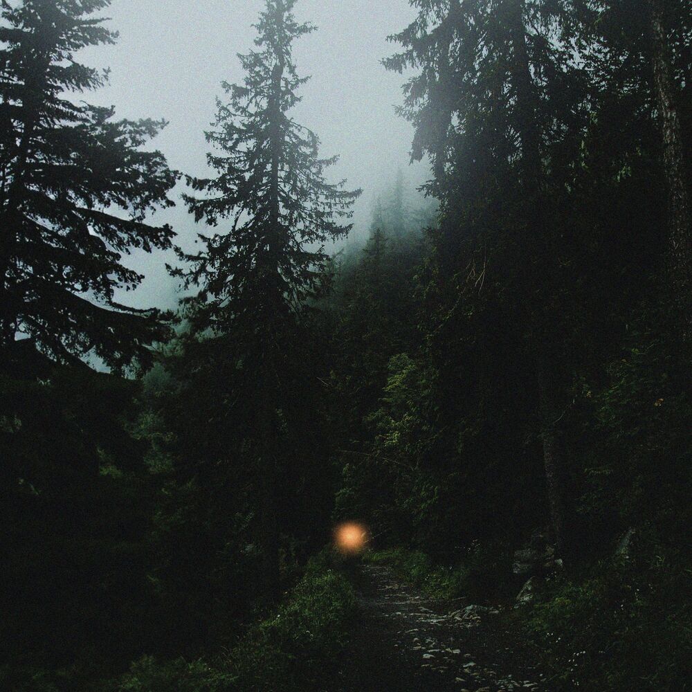 Picture of Untold