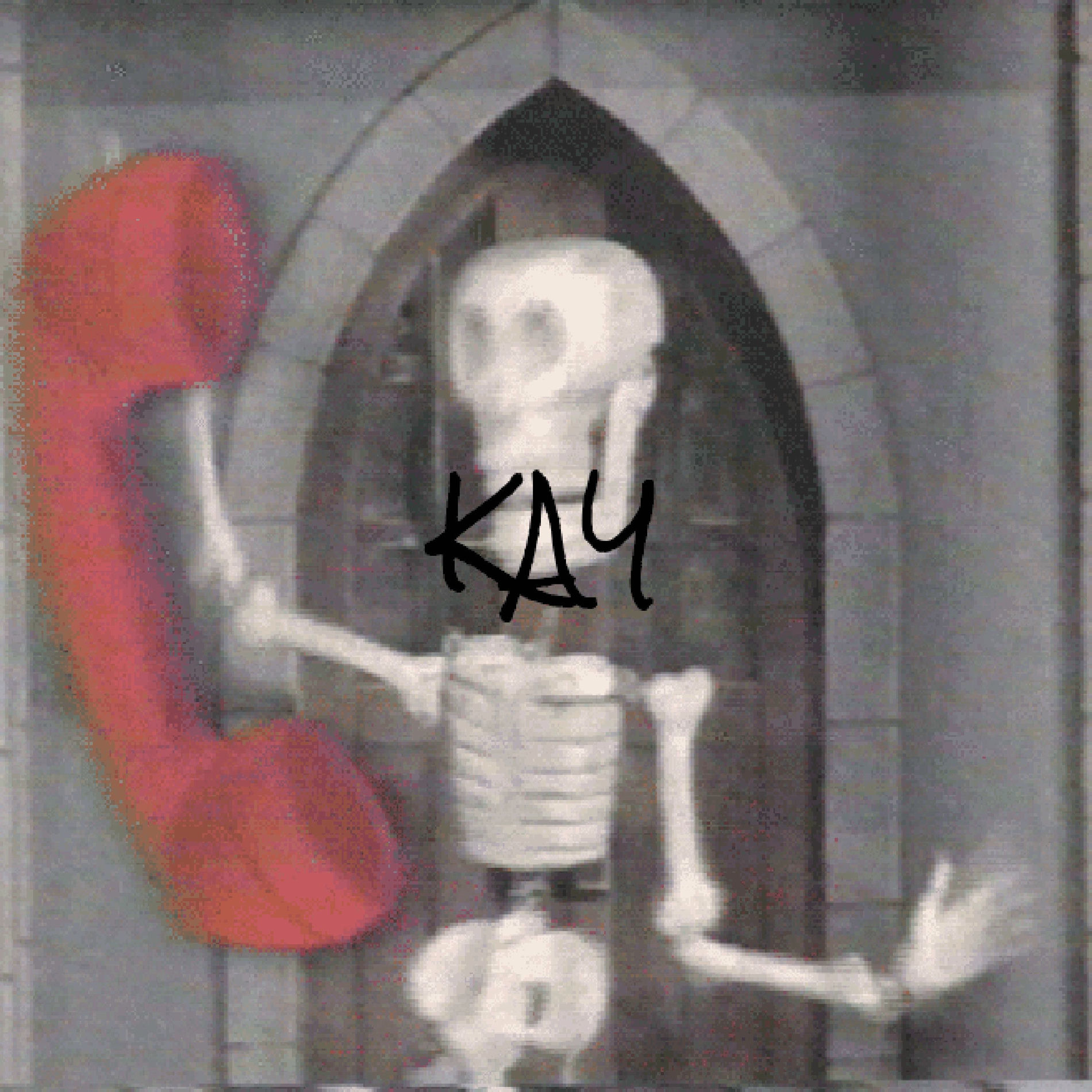 Album cover of KAY