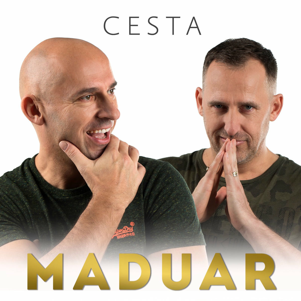 Album cover of Cesta