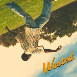 Cover of Wasted