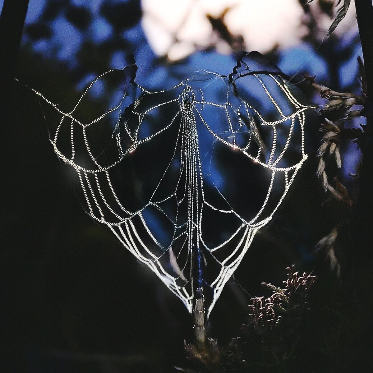 Album cover of mercoledì mai