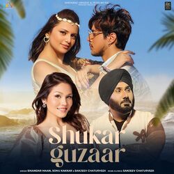 Cover of Shukar Guzaar