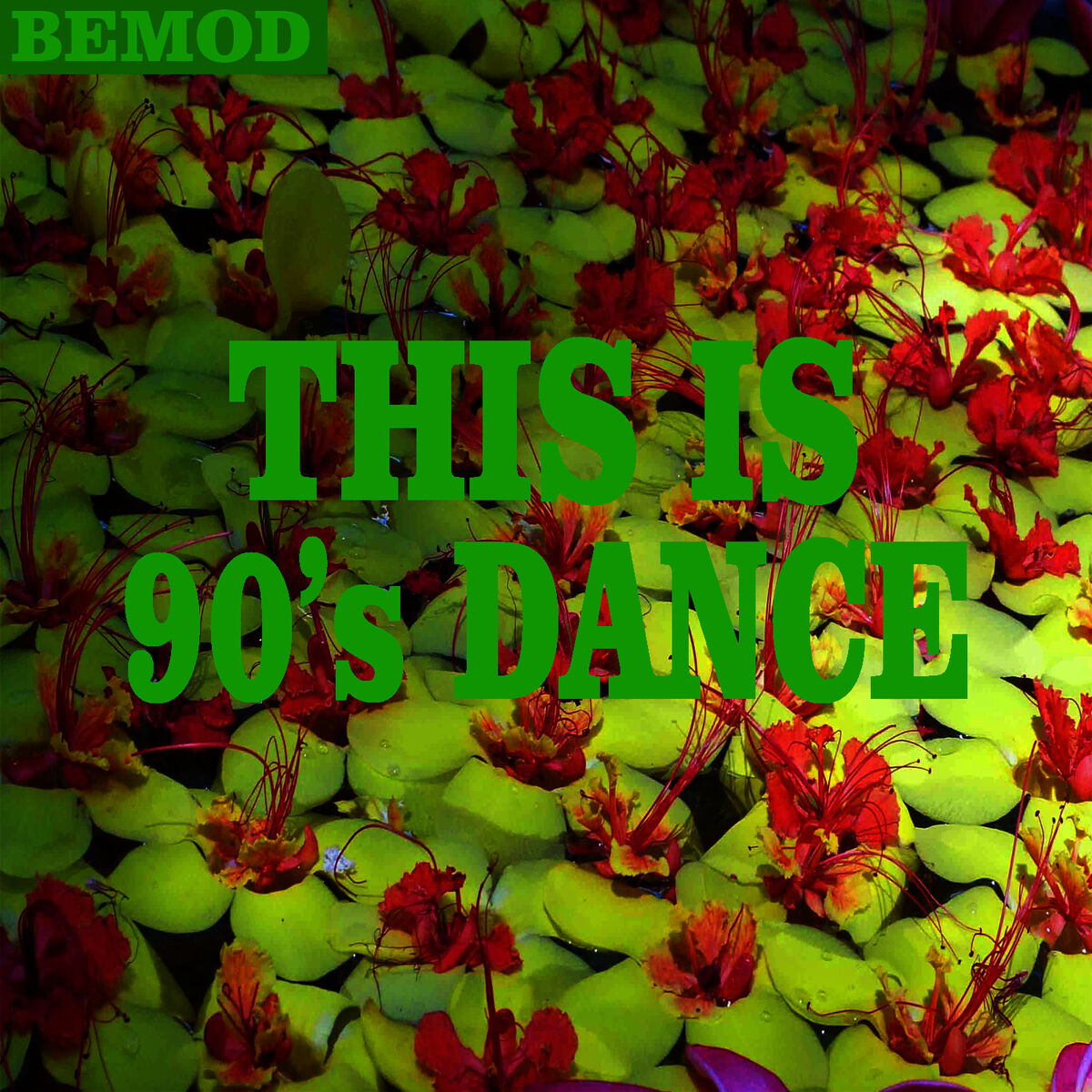Album cover of This Is 90's Dance