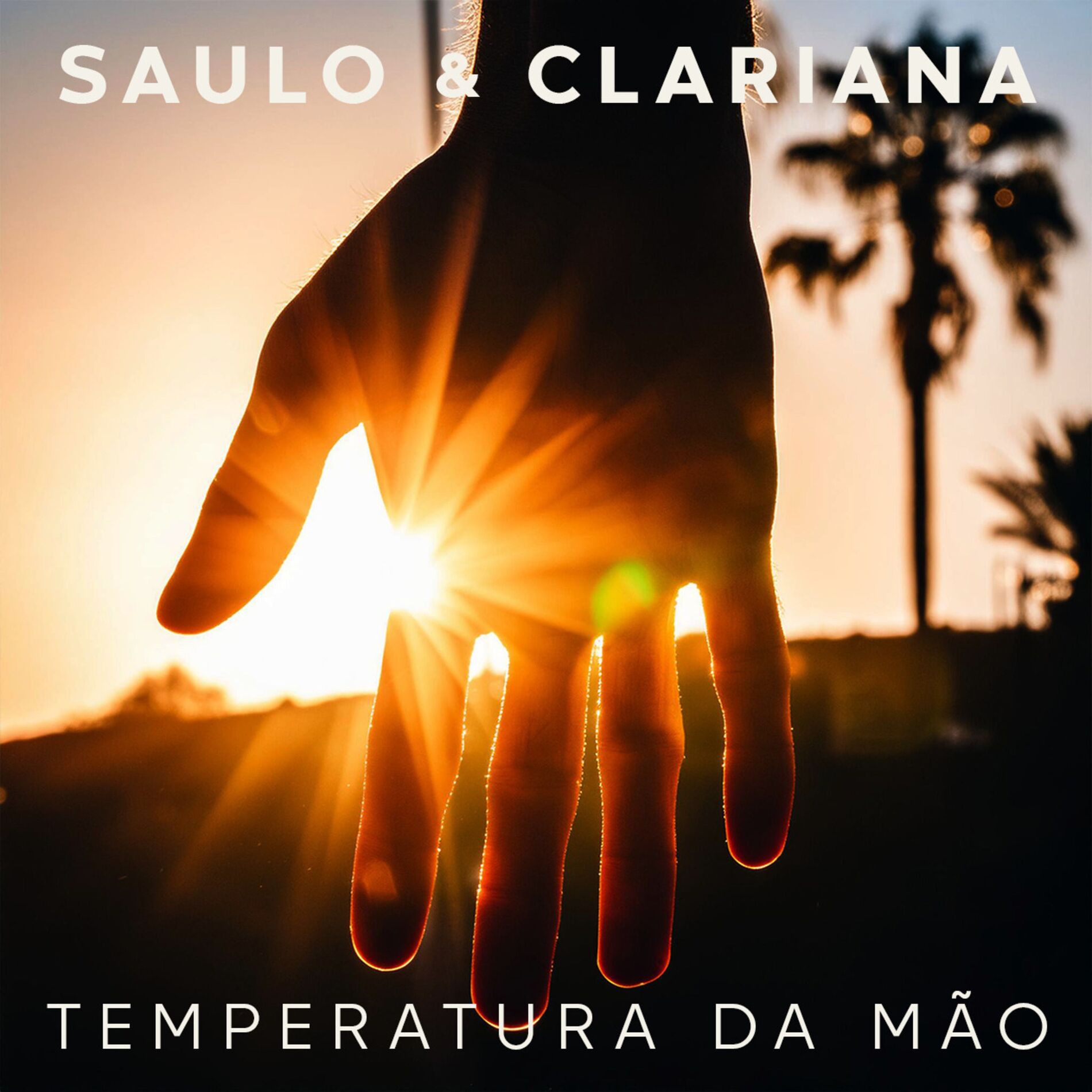 Album cover of Temperatura da Mão